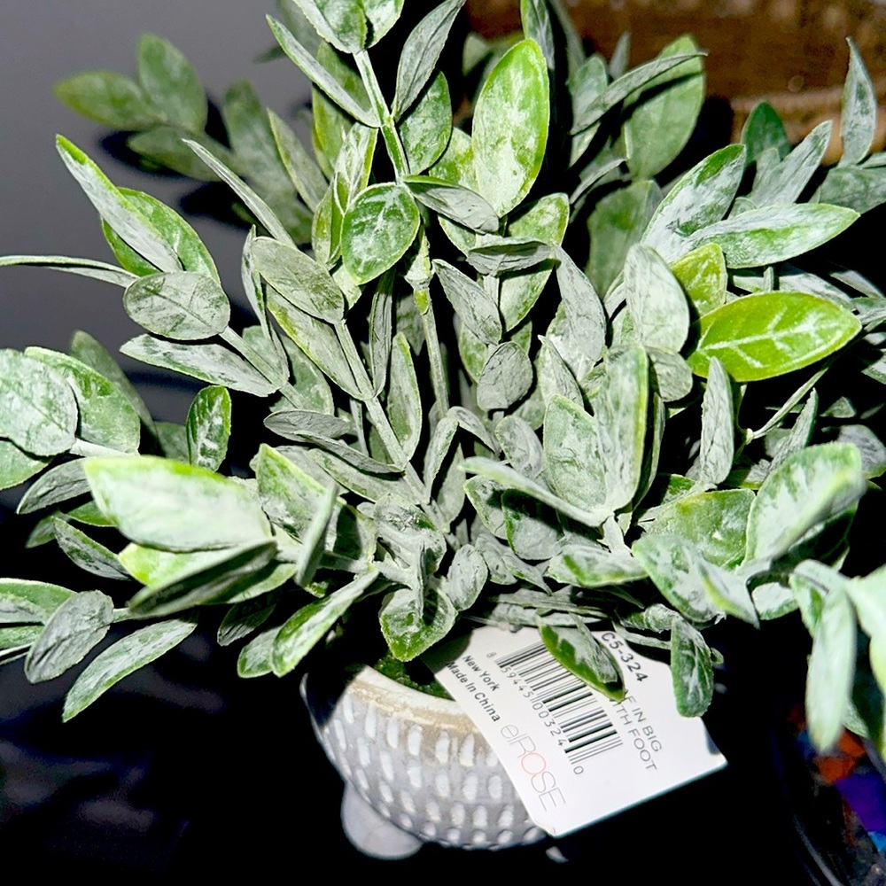 faux plant